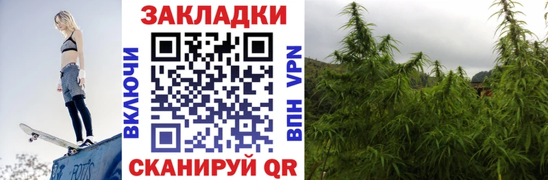 Продажа наркотиков Бронницы Cocaine  Меф  Амфетамин  Марихуана  Alpha-PVP 