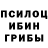 Псилоцибиновые грибы мицелий Michele Albani
