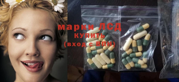 амф Бородино