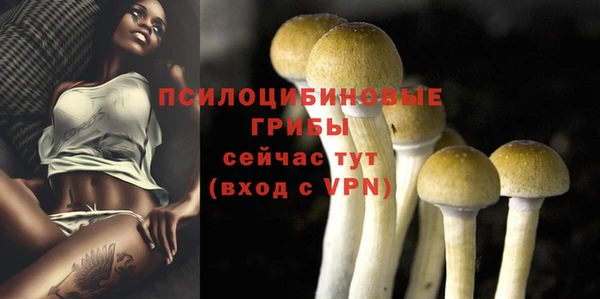 PSILOCYBIN Бронницы