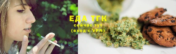 амф Бородино