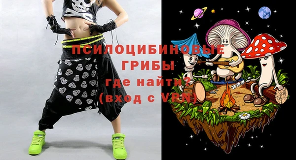PSILOCYBIN Бронницы