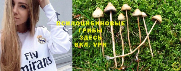 спиды Болхов