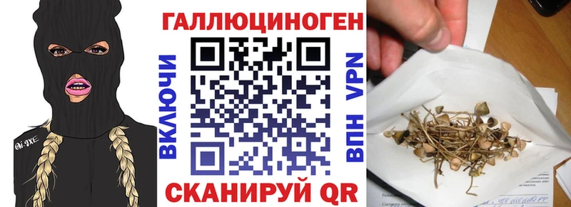Галлюциногенные грибы Psilocybine cubensis  Бронницы 